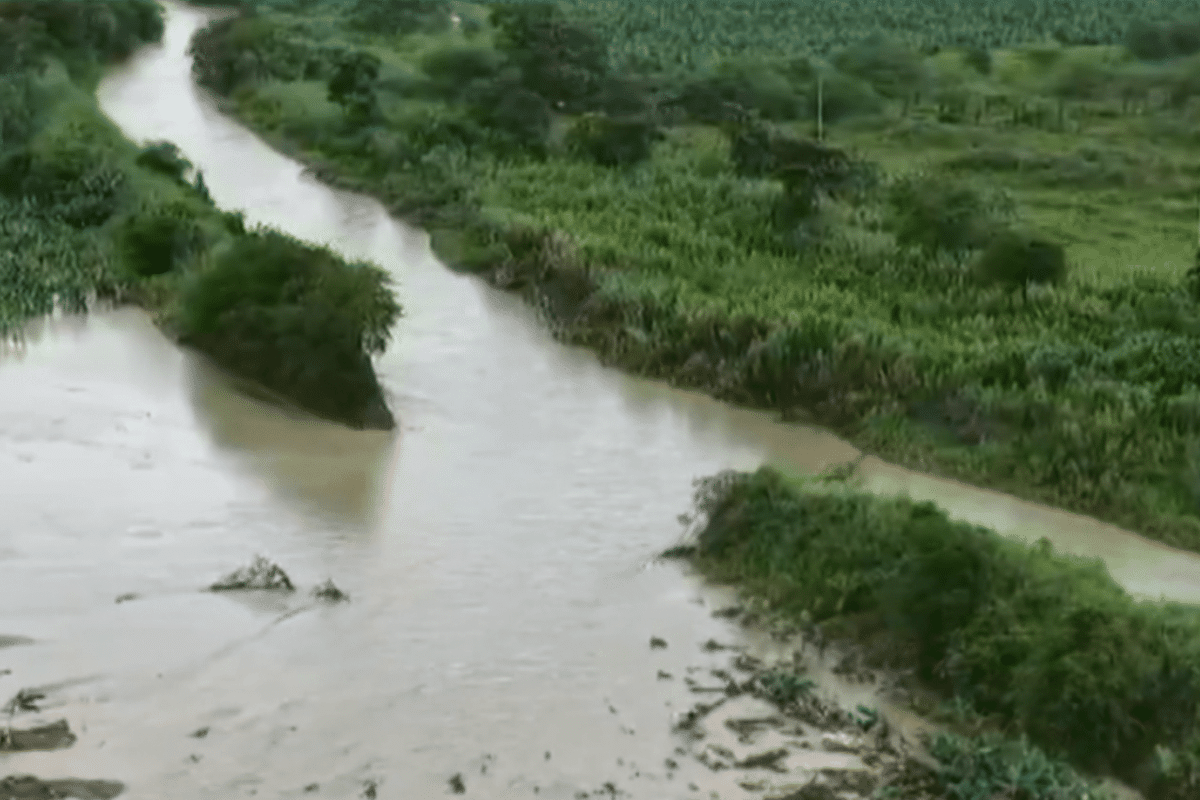 Cerca de 40 mil hectáreas de plátano afectadas por lluvias en Urabá