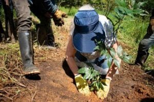 Plan Siembra Aburrá impulsa ecosistemas con 7000 árboles y jardines comunitarios