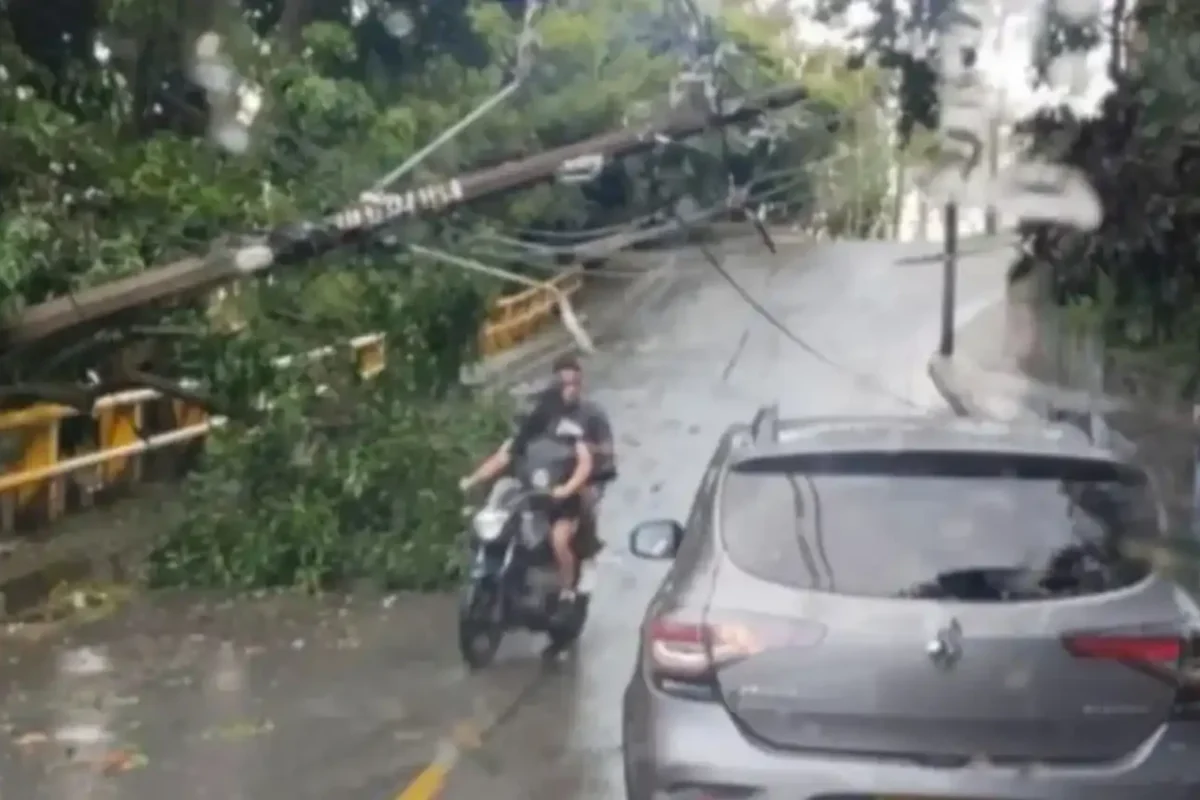 Aguacero derriba árboles y deja barrios sin energía en Valle de Aburrá