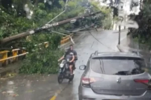 Aguacero derriba árboles y deja barrios sin energía en Valle de Aburrá