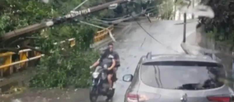 Inicio 6 Aguacero derriba árboles y deja barrios sin energía en Valle de Aburrá